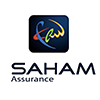 saham